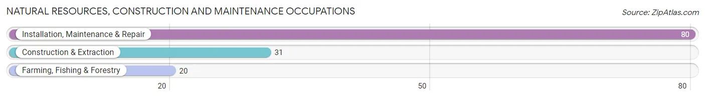 Natural Resources, Construction and Maintenance Occupations in Winslow