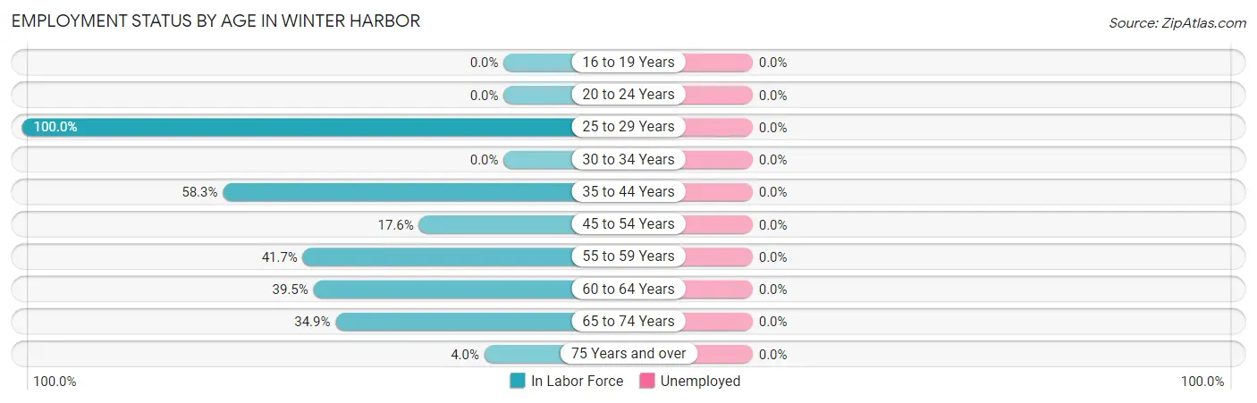 Employment Status by Age in Winter Harbor