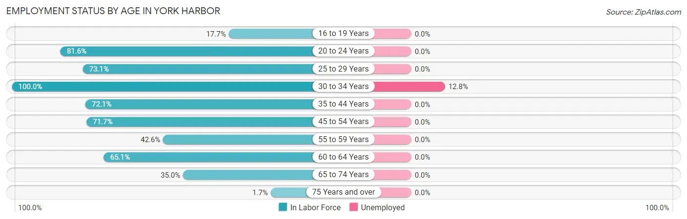 Employment Status by Age in York Harbor