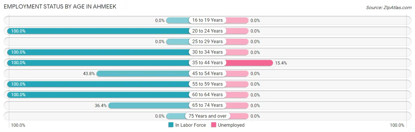 Employment Status by Age in Ahmeek