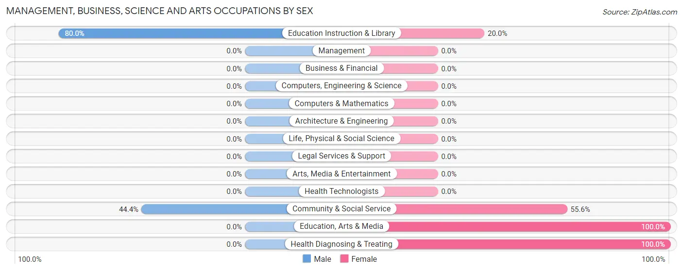 Management, Business, Science and Arts Occupations by Sex in Ahmeek