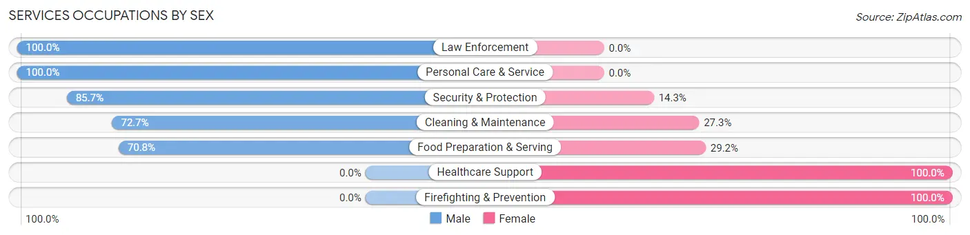 Services Occupations by Sex in Alanson