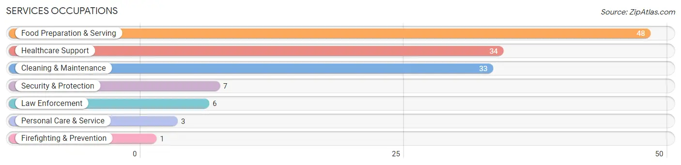 Services Occupations in Alanson