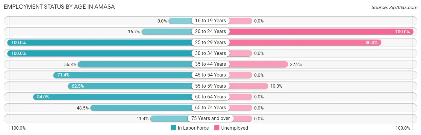 Employment Status by Age in Amasa