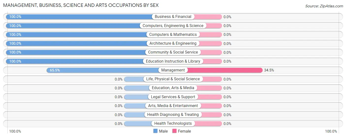 Management, Business, Science and Arts Occupations by Sex in Amasa