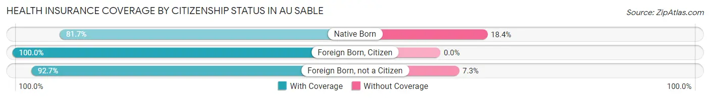 Health Insurance Coverage by Citizenship Status in Au Sable