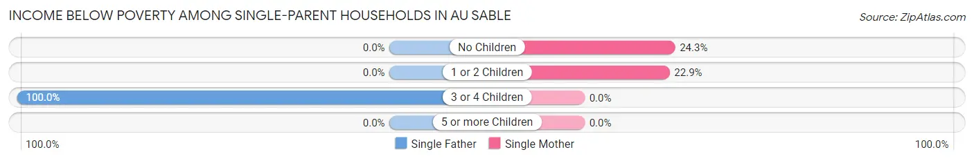 Income Below Poverty Among Single-Parent Households in Au Sable