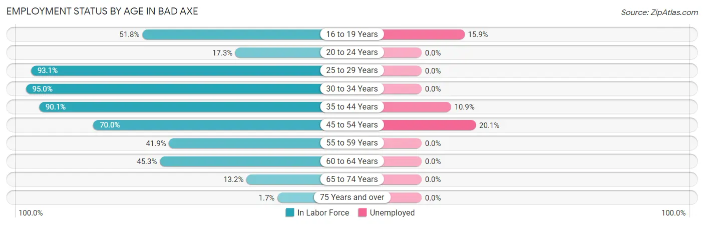 Employment Status by Age in Bad Axe
