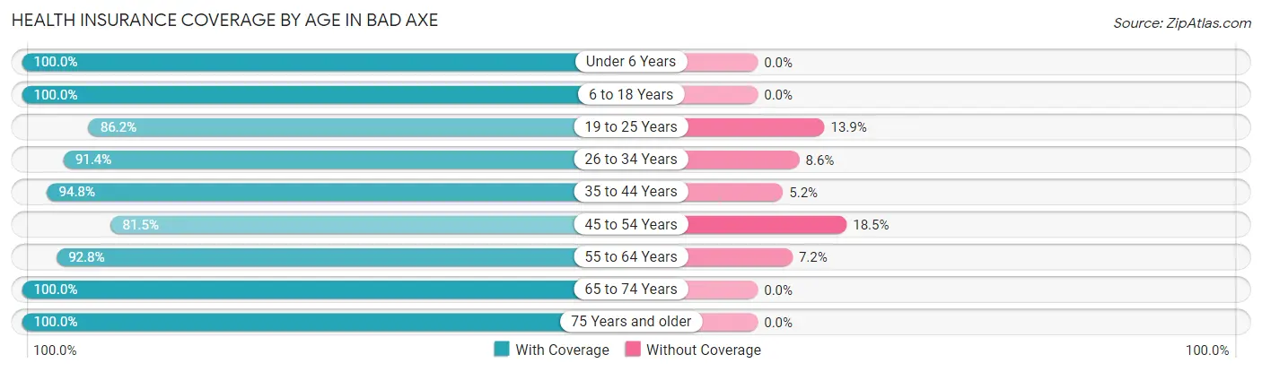 Health Insurance Coverage by Age in Bad Axe