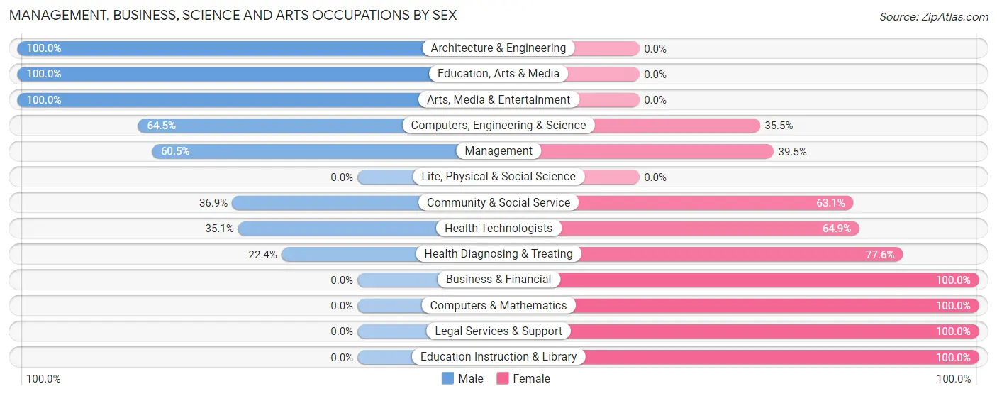 Management, Business, Science and Arts Occupations by Sex in Bad Axe