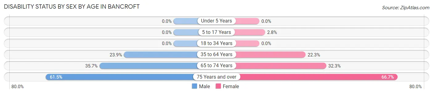 Disability Status by Sex by Age in Bancroft