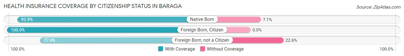 Health Insurance Coverage by Citizenship Status in Baraga