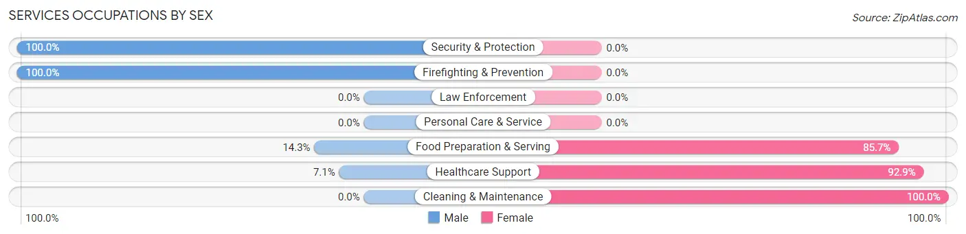 Services Occupations by Sex in Barryton