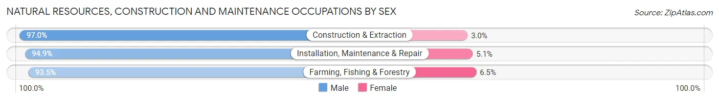 Natural Resources, Construction and Maintenance Occupations by Sex in Bay City