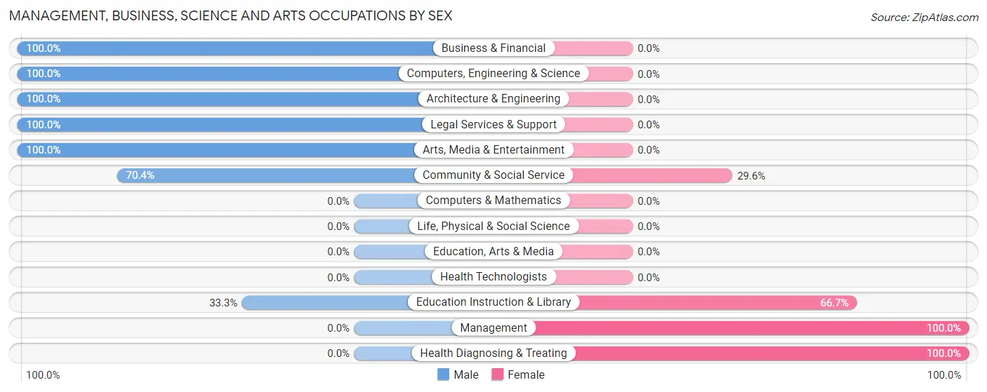 Management, Business, Science and Arts Occupations by Sex in Bay Shore