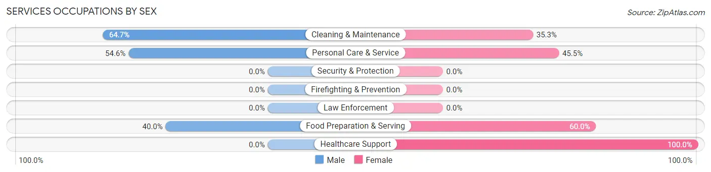 Services Occupations by Sex in Bay Shore