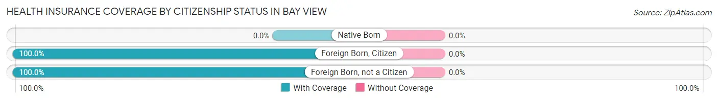 Health Insurance Coverage by Citizenship Status in Bay View