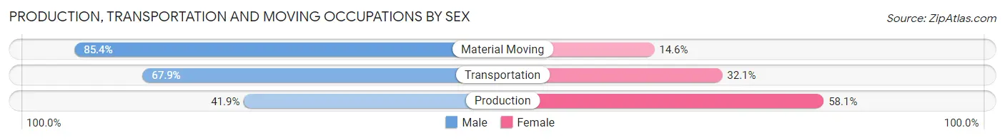 Production, Transportation and Moving Occupations by Sex in Berrien Springs