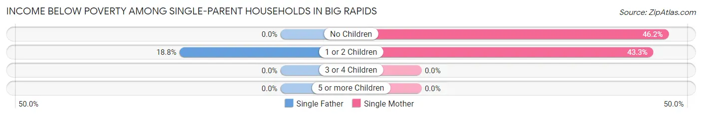Income Below Poverty Among Single-Parent Households in Big Rapids