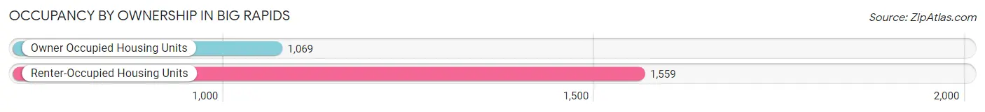 Occupancy by Ownership in Big Rapids