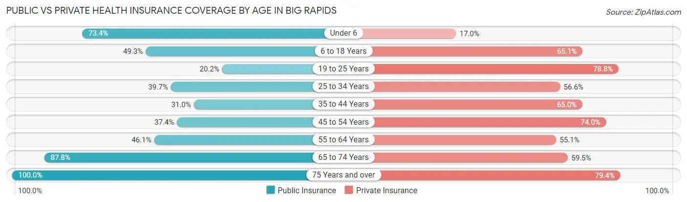Public vs Private Health Insurance Coverage by Age in Big Rapids
