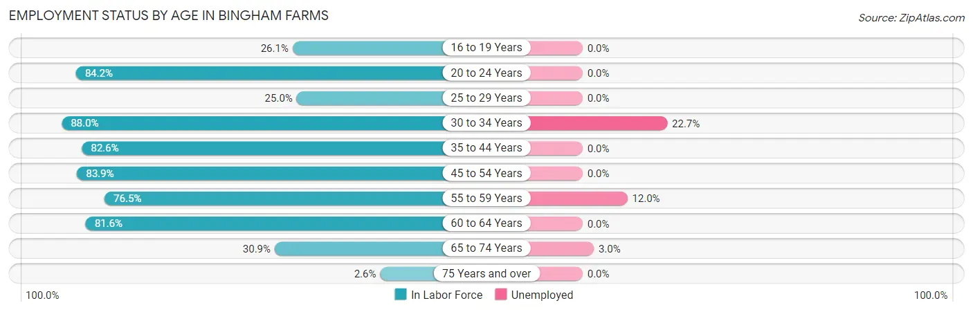 Employment Status by Age in Bingham Farms