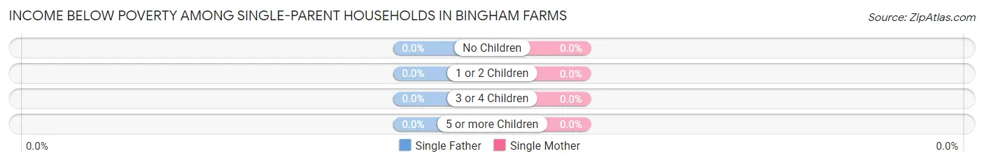 Income Below Poverty Among Single-Parent Households in Bingham Farms
