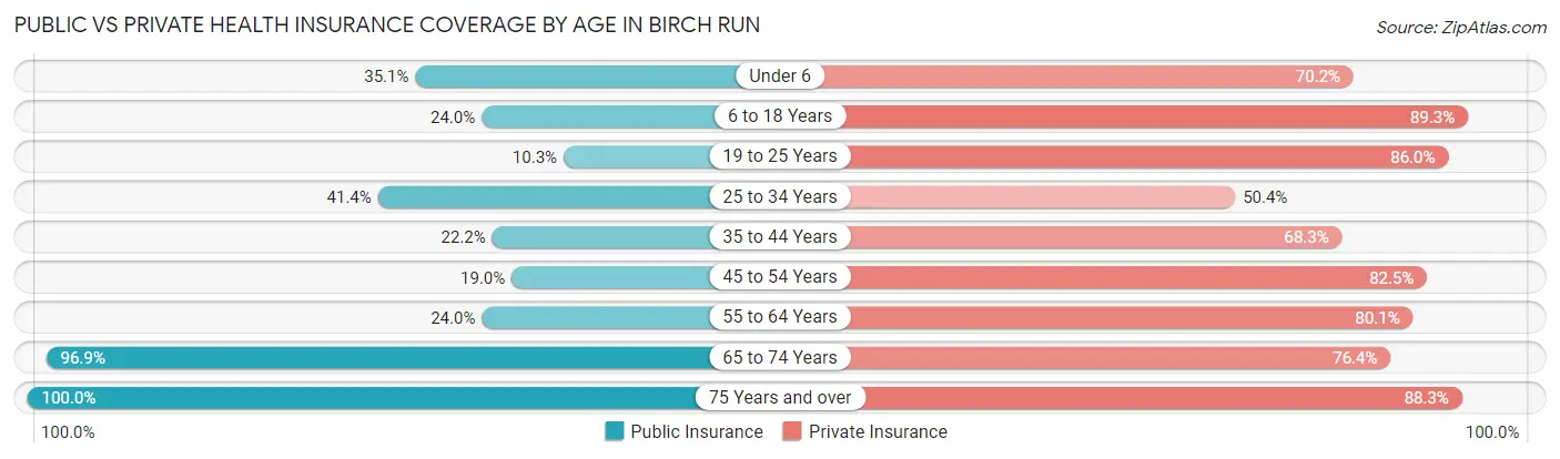 Public vs Private Health Insurance Coverage by Age in Birch Run