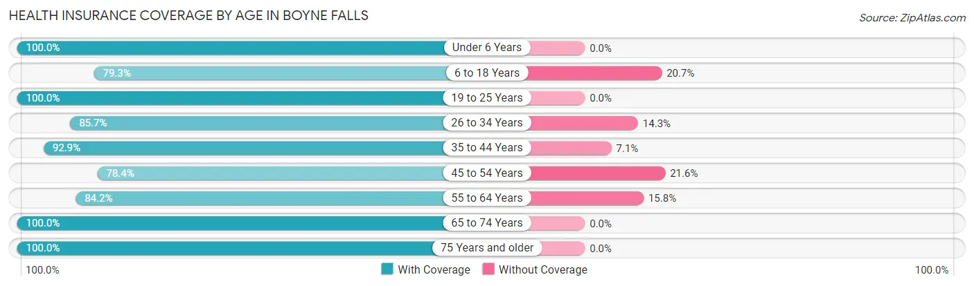Health Insurance Coverage by Age in Boyne Falls