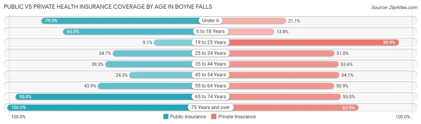 Public vs Private Health Insurance Coverage by Age in Boyne Falls