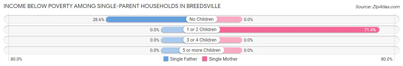 Income Below Poverty Among Single-Parent Households in Breedsville