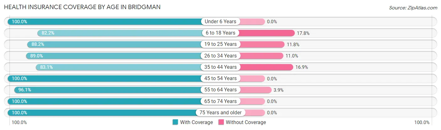 Health Insurance Coverage by Age in Bridgman