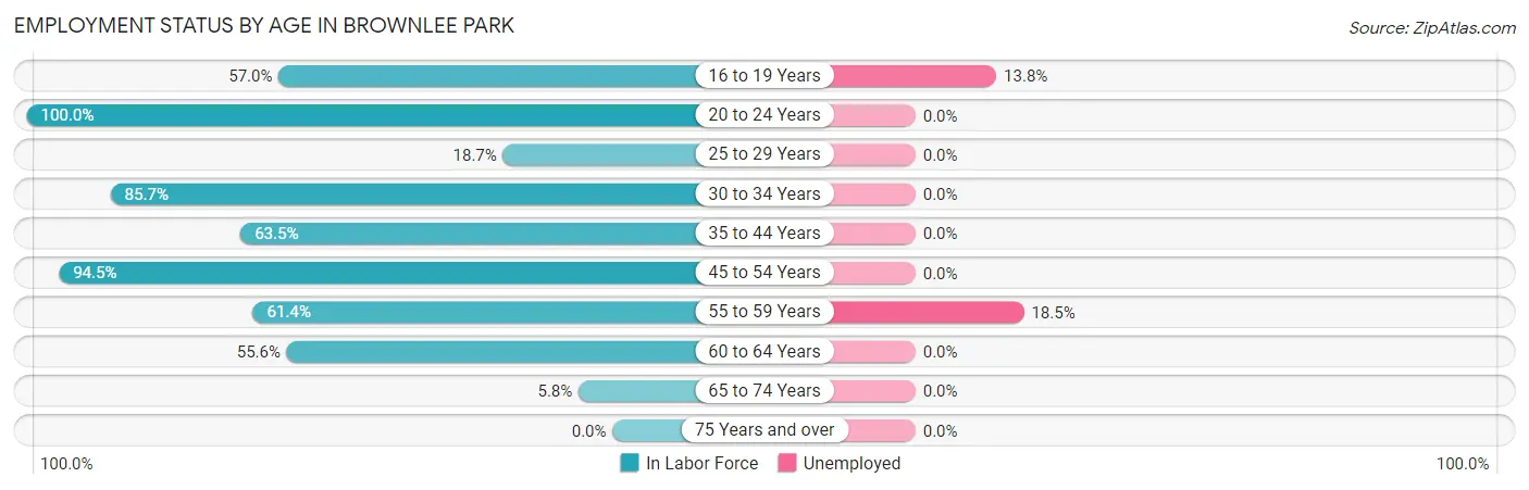 Employment Status by Age in Brownlee Park