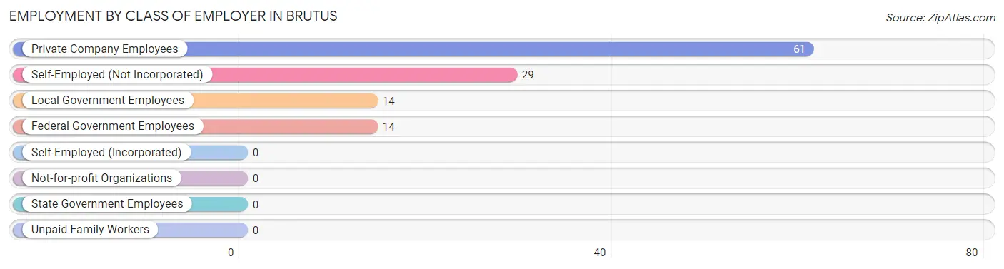 Employment by Class of Employer in Brutus