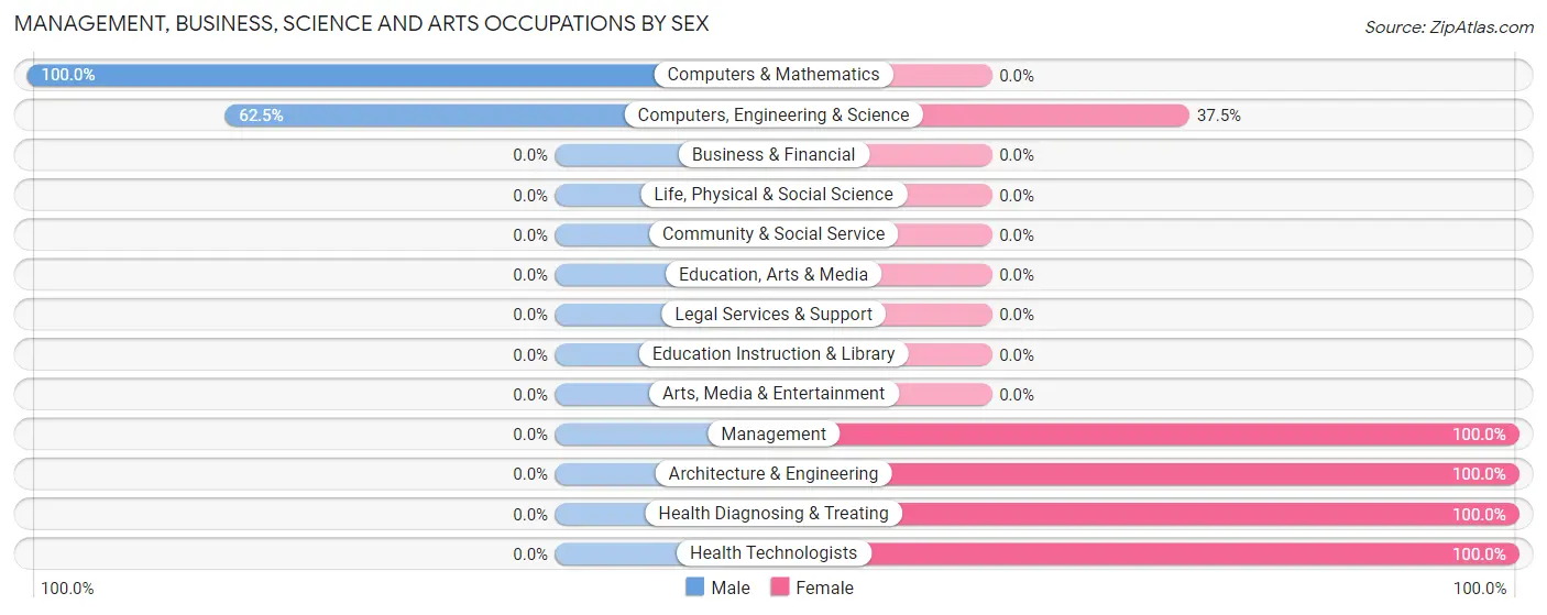 Management, Business, Science and Arts Occupations by Sex in Brutus