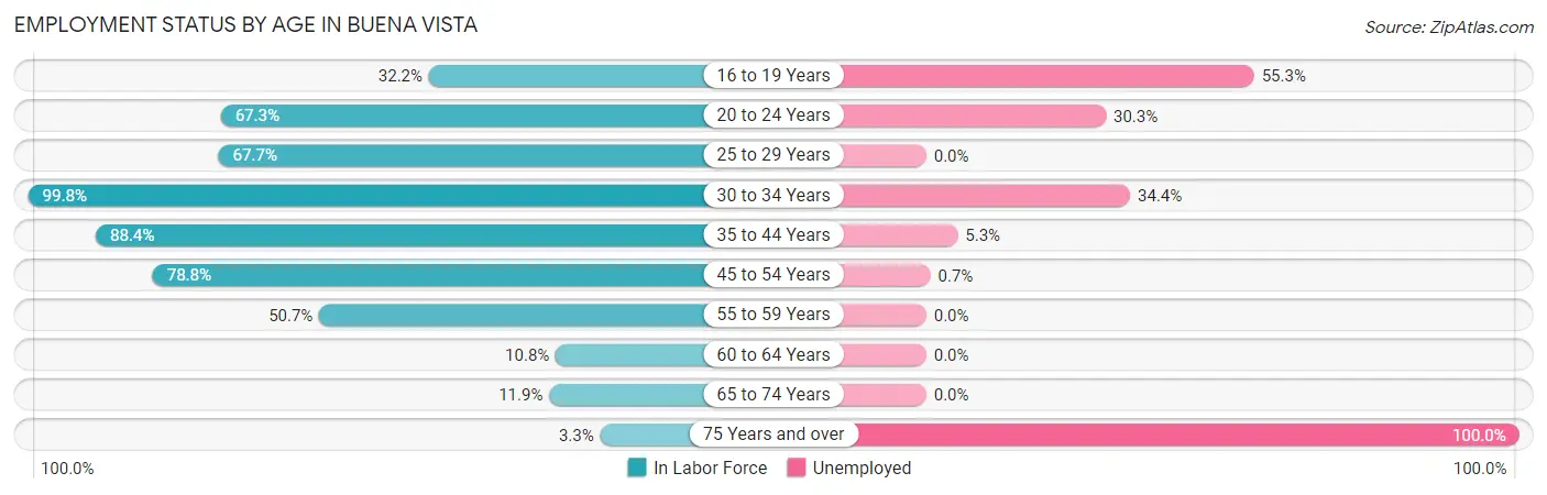 Employment Status by Age in Buena Vista