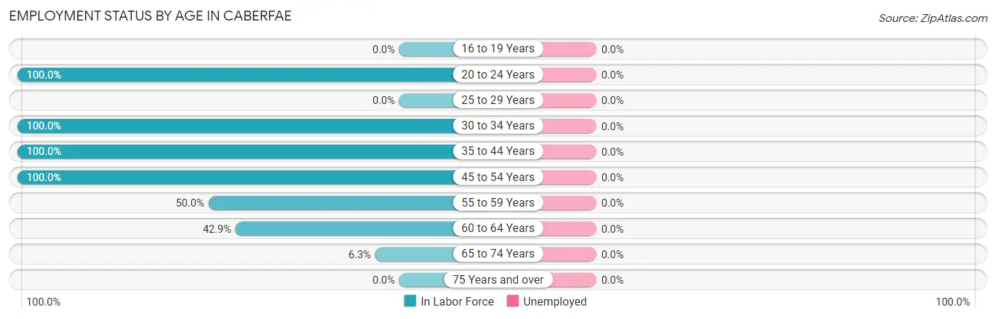 Employment Status by Age in Caberfae