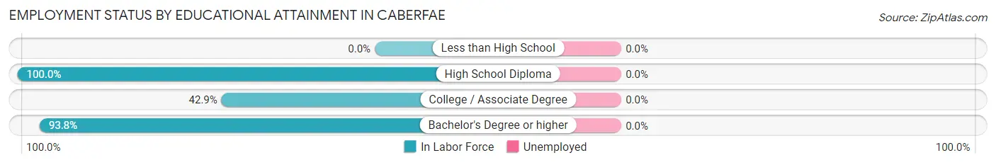 Employment Status by Educational Attainment in Caberfae