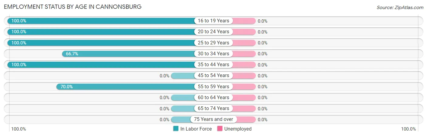 Employment Status by Age in Cannonsburg