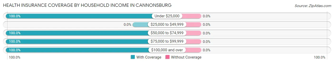 Health Insurance Coverage by Household Income in Cannonsburg