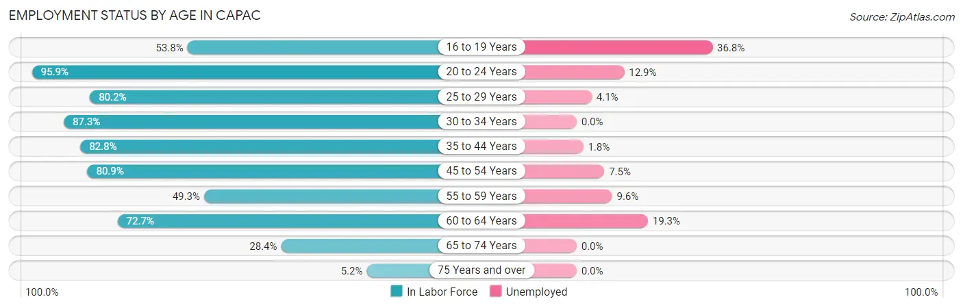 Employment Status by Age in Capac