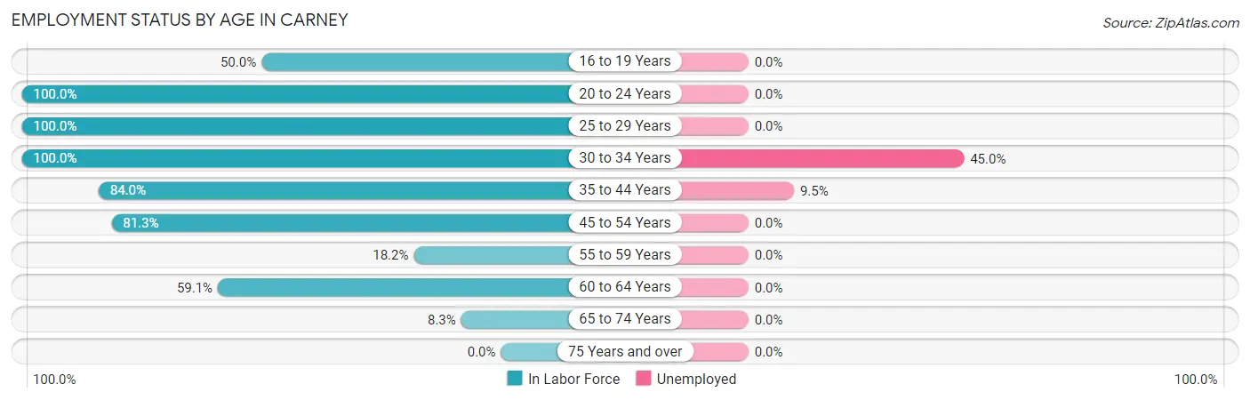 Employment Status by Age in Carney