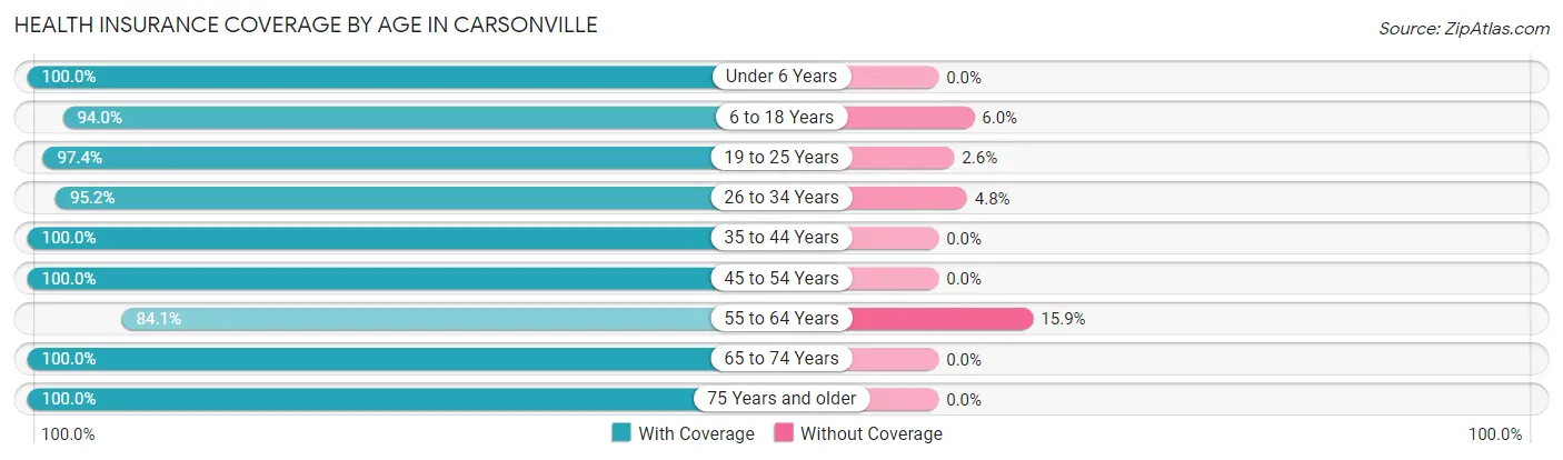 Health Insurance Coverage by Age in Carsonville