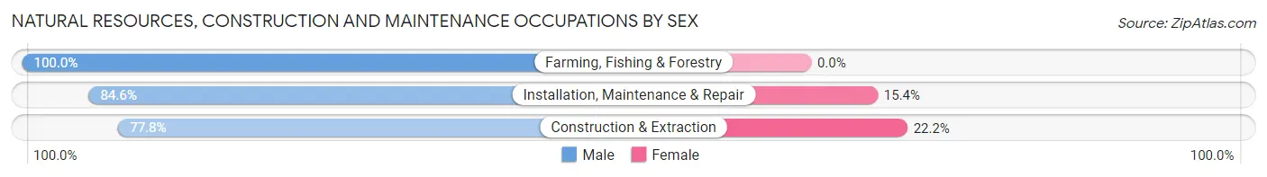 Natural Resources, Construction and Maintenance Occupations by Sex in Carsonville