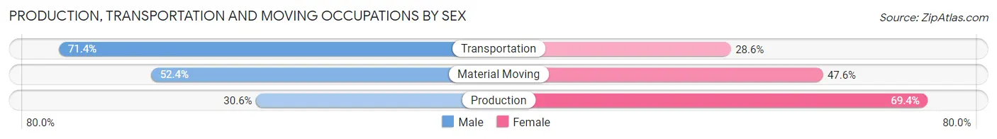 Production, Transportation and Moving Occupations by Sex in Carsonville