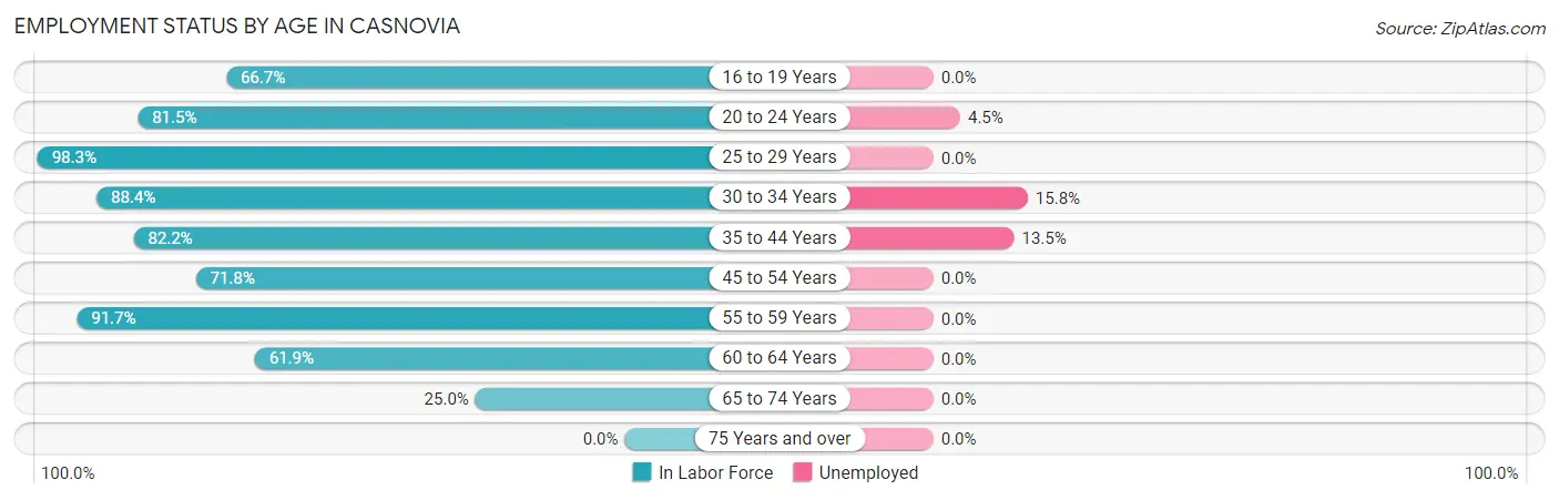 Employment Status by Age in Casnovia