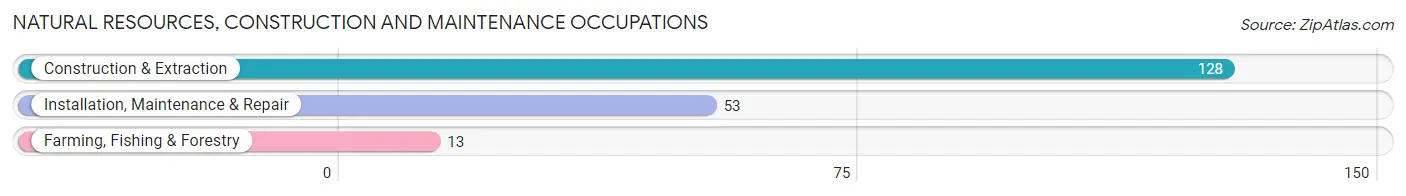 Natural Resources, Construction and Maintenance Occupations in Cedar Springs