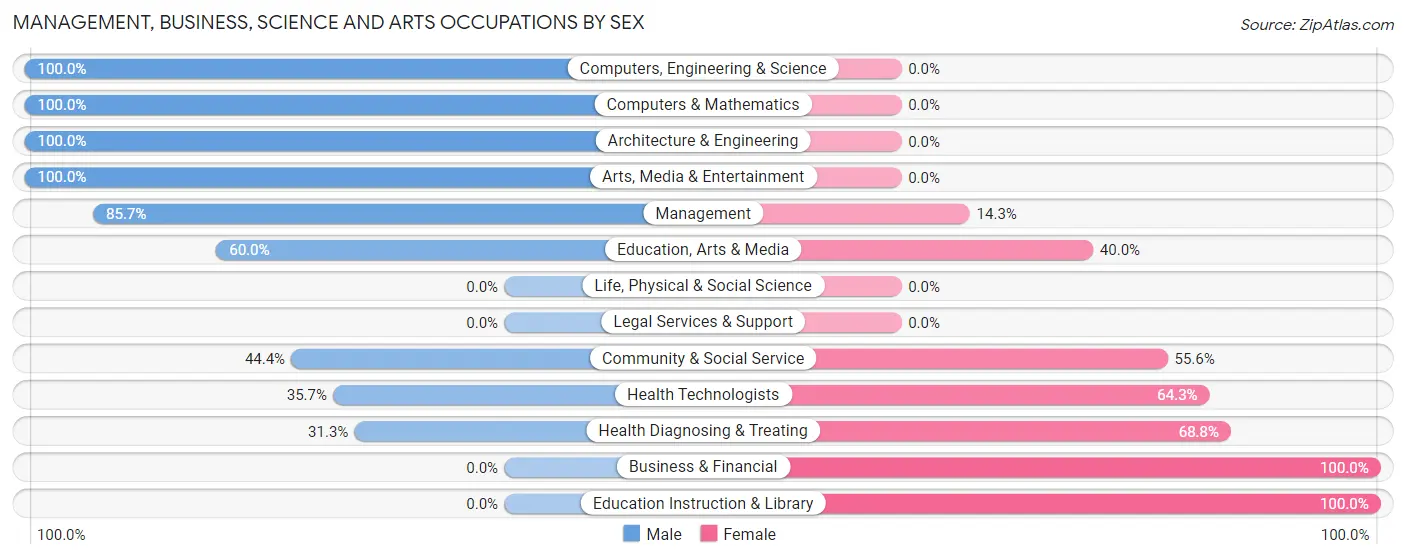Management, Business, Science and Arts Occupations by Sex in Cement City
