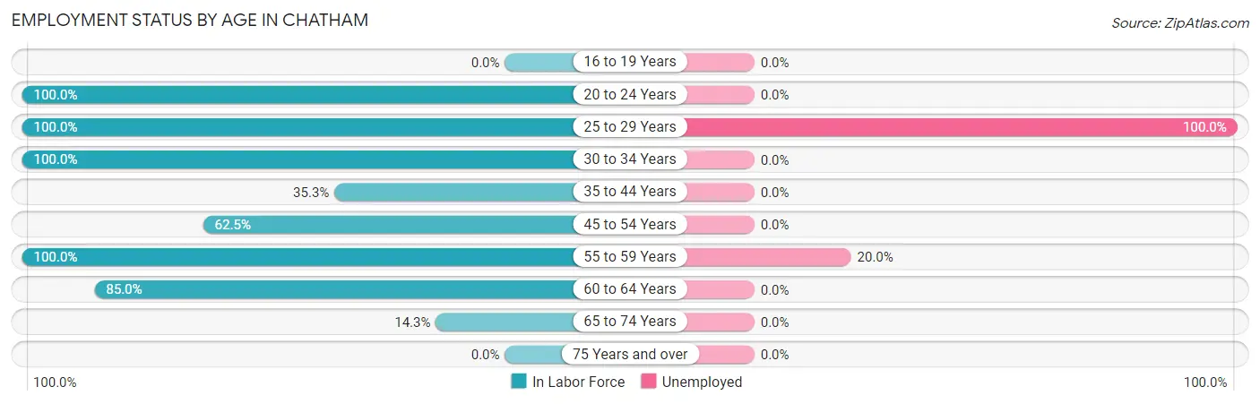 Employment Status by Age in Chatham