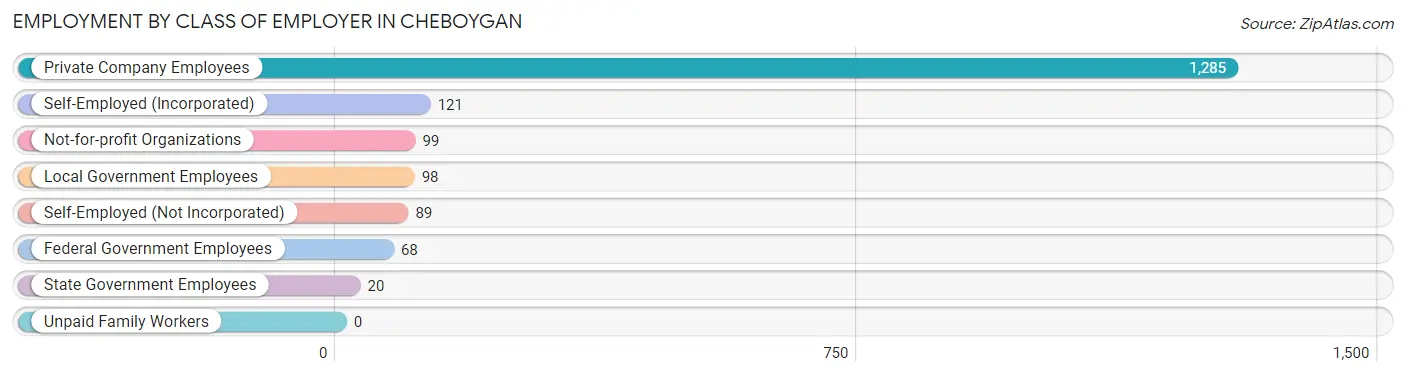 Employment by Class of Employer in Cheboygan